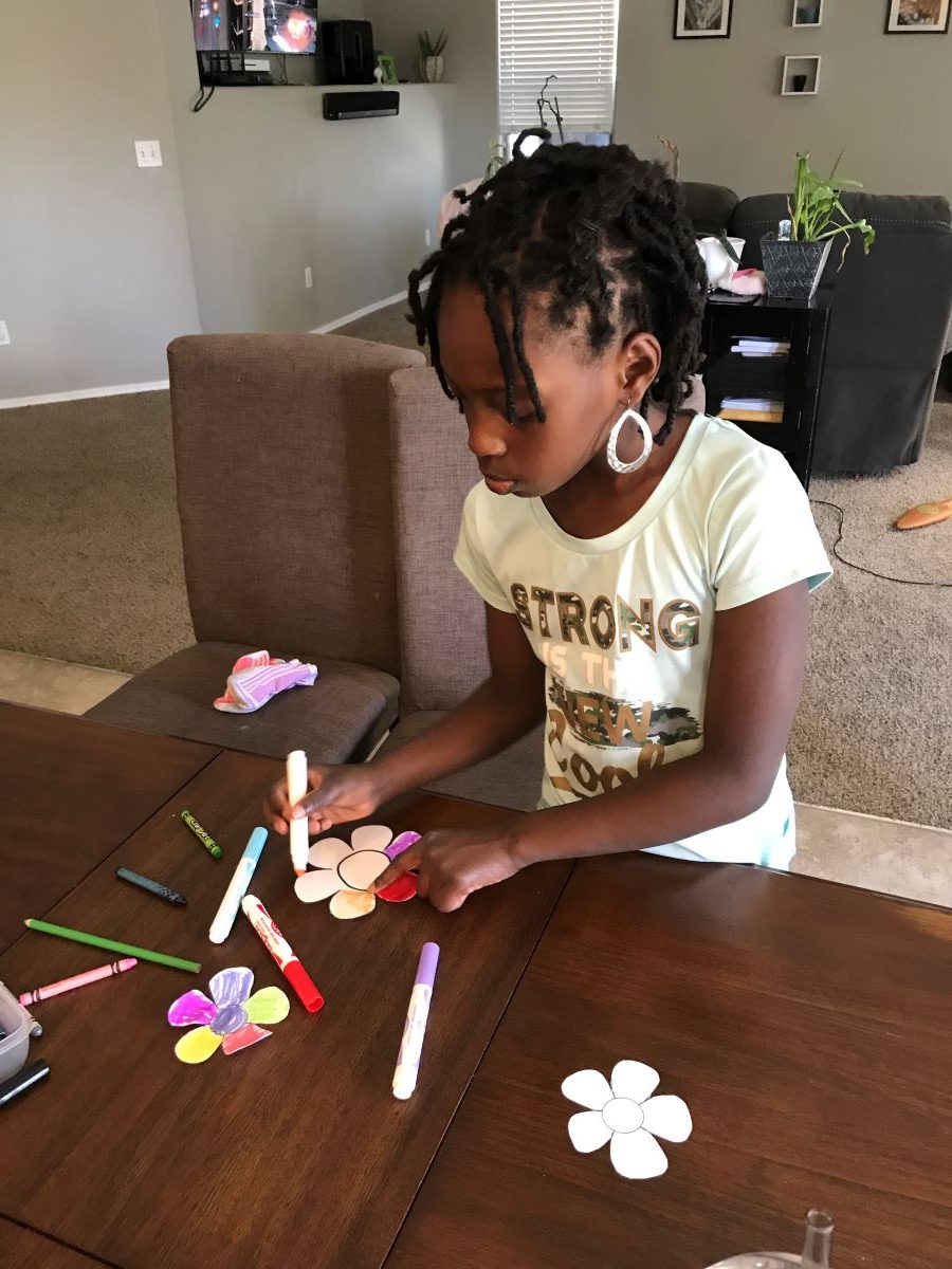 Blooming Paper Flower Experiment